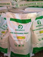 混床阴阳离子交换树脂*