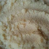 大孔弱碱性阴离子交换树脂工艺